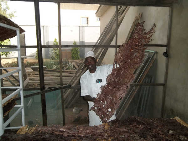 Kilishi artisan at work